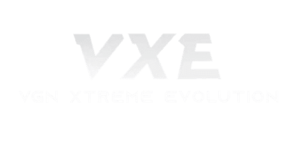 vxe brand